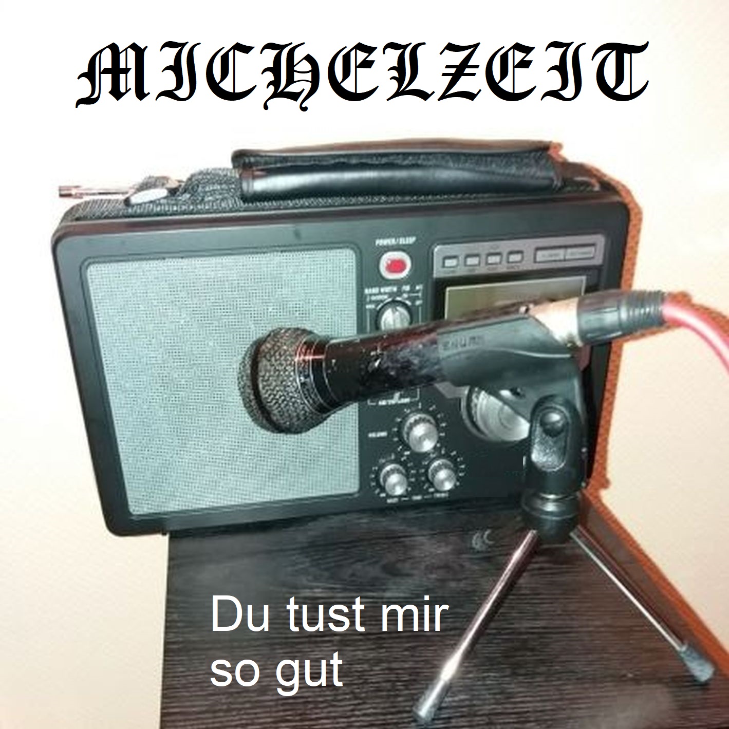 Michelzeit - Du tust mir so gut - Cover.jpg